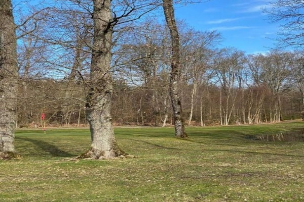 Foto van Afgelegen Bosretreat in Gjol-By Traum - Vakantiehuis in Aabybro - Outdoor