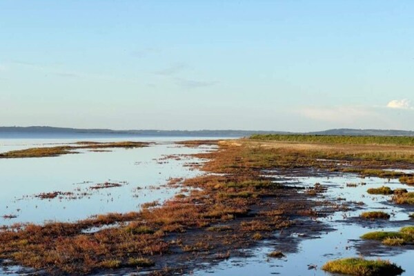 Foto van Afgelegen Bosretreat in Gjol-By Traum - Vakantiehuis in Aabybro - Outdoor