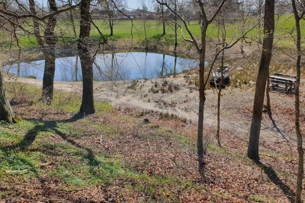 Foto van Afgelegen Bosretreat in Gjol-By Traum - Vakantiehuis in Aabybro - Outdoor