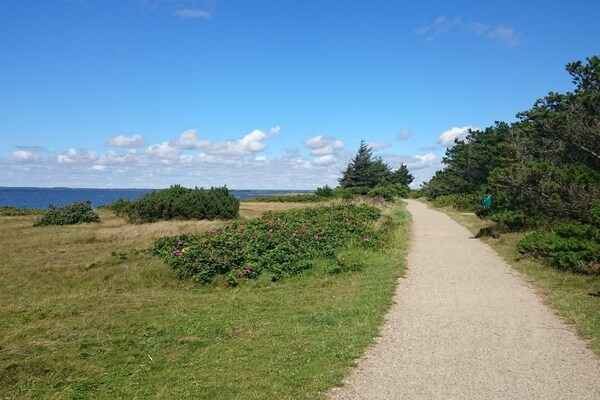 Foto van 6 persoons vakantie huis in Tarm - Vakantiehuis in Tarm - WaterView