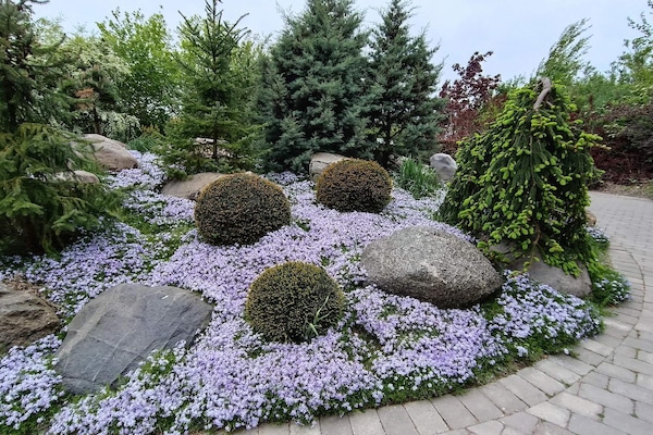Foto van Betoverend huisje in Oksbol Oase-By Traum - Vakantiehuis in Nordborg - Untagged