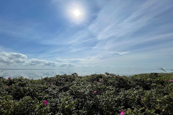 Foto van 6 persoons vakantie huis in Ringkøbing-By Traum - Vakantiehuis in Ringkøbing - Untagged