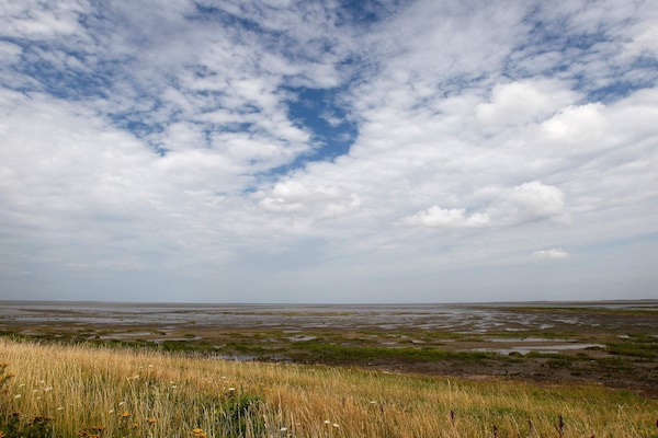 Foto van 6 persoons vakantie huis in Skærbæk-By Traum - Vakantiehuis in Skærbæk - Untagged
