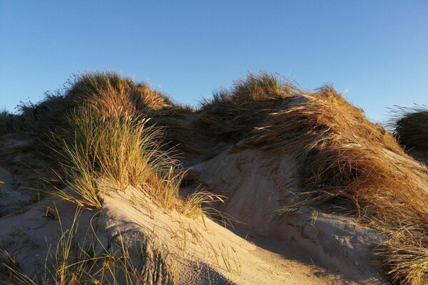 Foto van 6 persoons vakantie huis in Ringkøbing-By Traum - Vakantiehuis in Ringkøbing - Untagged