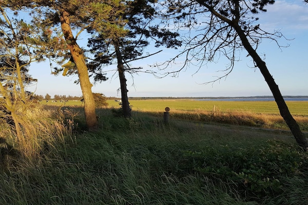 Foto van 6 persoons vakantie huis in Løgstør - Vakantiehuis in Løgstør - Untagged