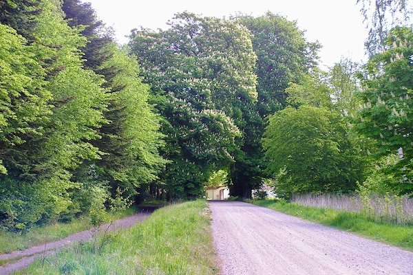 Foto van 6 persoons vakantie huis in Taastrup-By Traum - Vakantiehuis in Taastrup - Indoor