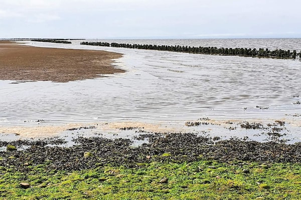 Foto van 2 Personen vakantie huis in Højer - Vakantiehuis in Højer - WaterView