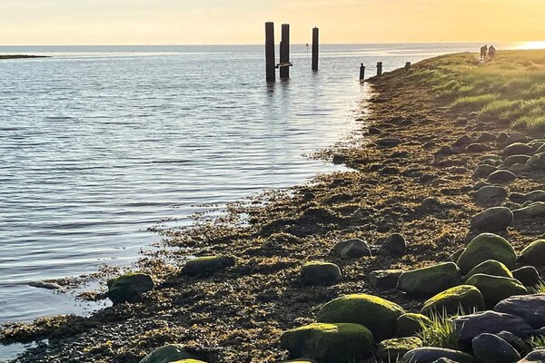 Foto van 2 Personen vakantie huis in Højer - Vakantiehuis in Højer - WaterView