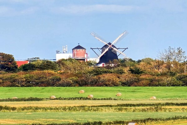 Foto van 2 Personen vakantie huis in Højer - Vakantiehuis in Højer - Untagged