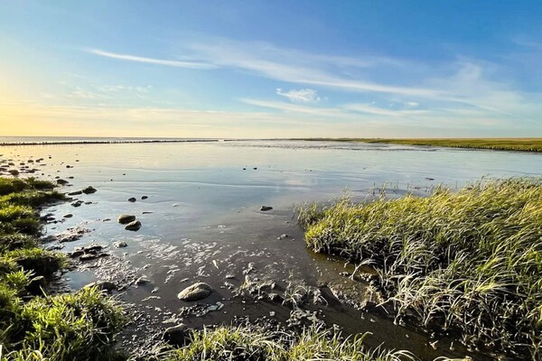 Foto van 2 Personen vakantie huis in Højer - Vakantiehuis in Højer - WaterView