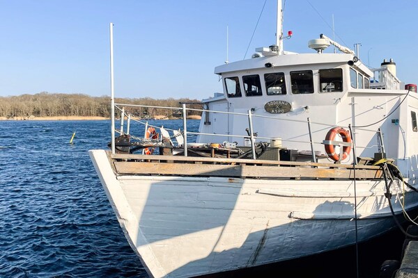 Foto van 4 sterren vakantie huis in Drottningskär - Vakantiehuis in Drottningskär - Outdoor