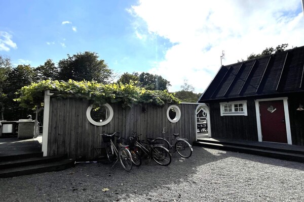 Foto van 4 sterren vakantie huis in Drottningskär - Vakantiehuis in Drottningskär - Outdoor