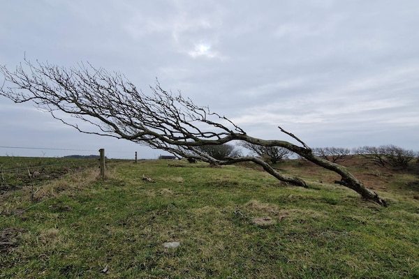 Foto van 6 persoons vakantie huis in Spøttrup-By Traum - Vakantiehuis in Spøttrup - Untagged