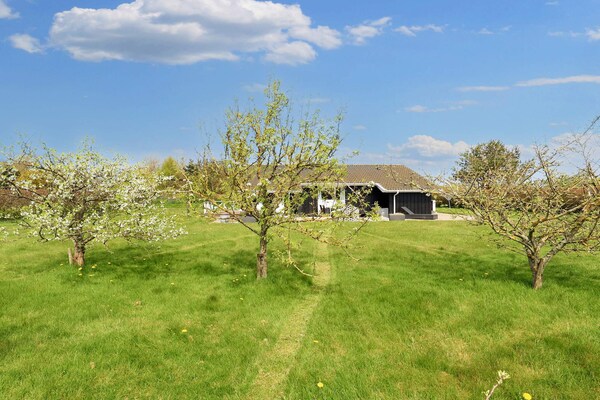 Foto van 6 persoons vakantie huis in Hadsund-By Traum - Vakantiehuis in Hadsund - View