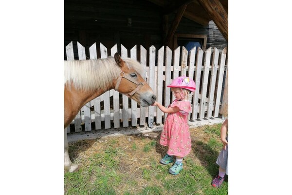 Foto van Boerderij in Forstau met zwembad - Vakantiehuis in Forstau - Untagged