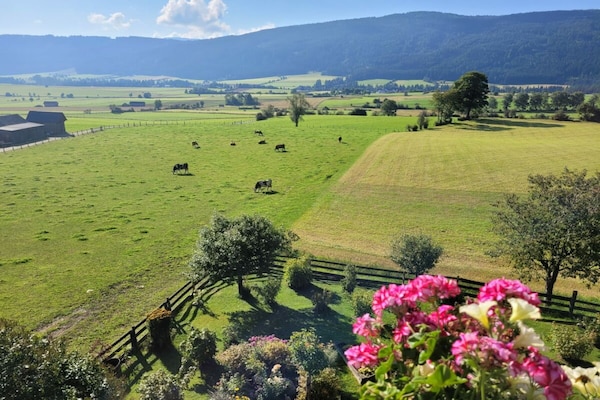 Foto van Biologische boerderij met 1 slaapkamer - Vakantiehuis in Mariapfarr - Untagged