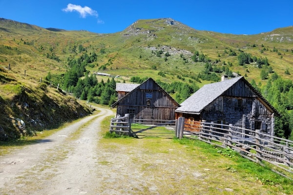 Foto van Biologische boerderij met 1 slaapkamer - Vakantiehuis in Mariapfarr - Untagged