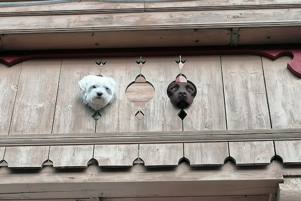 Foto van Appartement Walchen bij Skipistes - Vakantiehuis in Piesendorf - Walchen - Ambiance