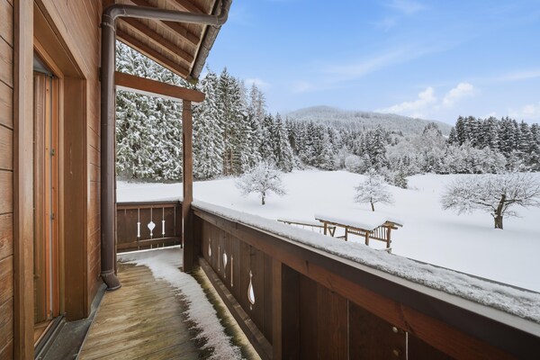 Foto van Appartement op een rustige locatie in Mittersill - Vakantiehuis in Mittersill - BedRoom