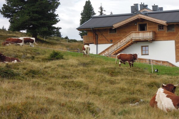 Foto van Chalet Lang in Hochkrimml voor 6 personen - Vakantiehuis in Krimml - Untagged