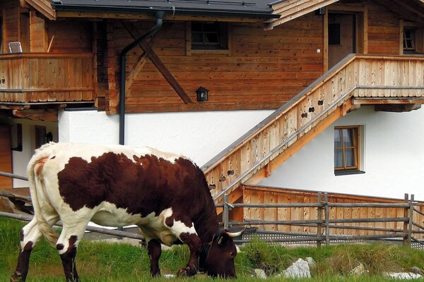 Foto van Chalet in Hochkrimml voor 8 personen - Vakantiehuis in Krimml - Untagged