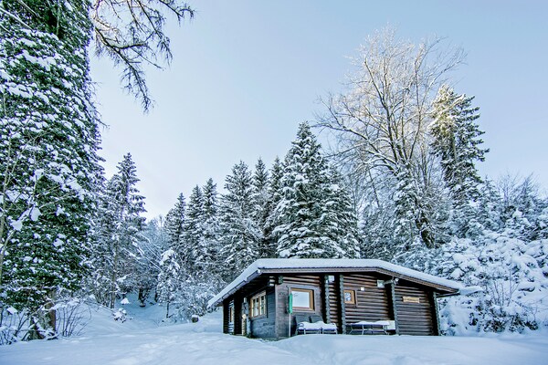 Foto van Chalet in Wörgl bij SkiWelt Wilder Kaiser - Vakantiehuis in Wörgler Boden - Hopfgarten - ExteriorWinter