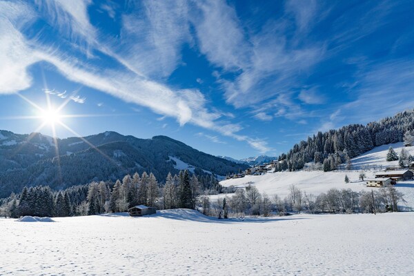 Foto van Appartement Wildschönau Alpine Vicky - Vakantiehuis in Wildschönau - AreaWinter5KM
