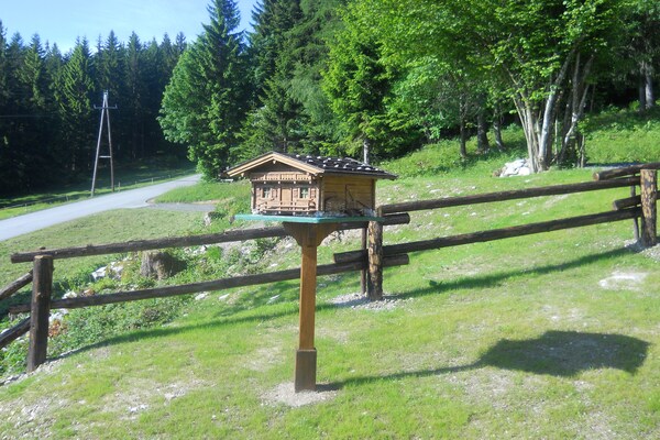 Foto van Chalet bij Kufstein Skischool - Vakantiehuis in Niederndorf bei Kufstein - ExteriorSummer