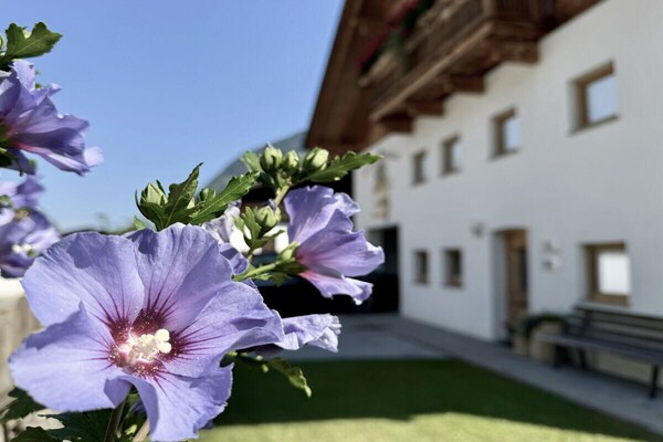 Foto van Waldhart Landhuis - Vakantiehuis in Umhausen - Untagged