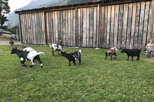 Foto van Boerderij in Bichlbach met zwembad - Vakantiehuis in Bichlbach - Untagged