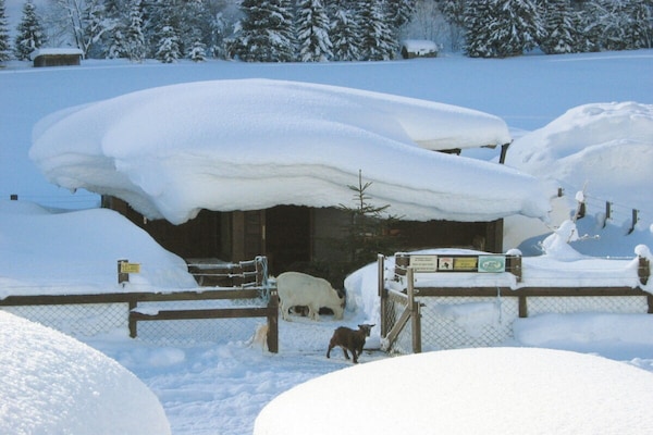 Foto van Boerderij in Bichlbach met zwembad - Vakantiehuis in Bichlbach - Untagged