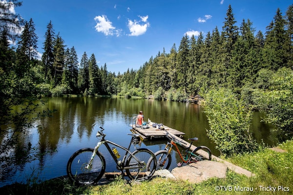 Foto van Leuke studio met balkon - Vakantiehuis in Kreischberg Murau - AreaSummer20KM