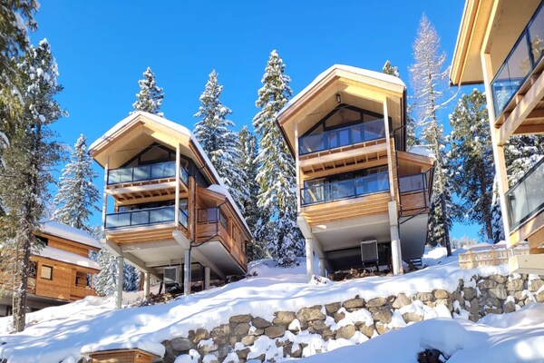 Foto van Luxe chalet met privésauna - Vakantiehuis in Turrach - ExteriorWinter