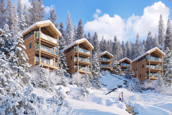 Foto van Luxe chalet met privésauna - Vakantiehuis in Turrach - ExteriorWinter