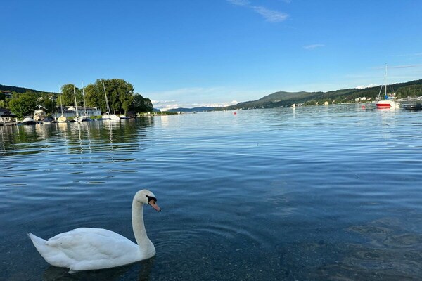Foto van Binder, Hubertusstraße Apt. 4 - Vakantiehuis in Velden - Untagged