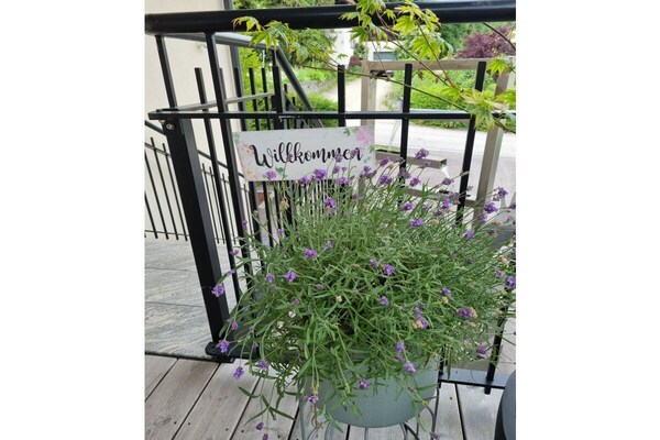 Foto van Binder, Hubertusstraße Apt. 3 - Vakantiehuis in Velden - Untagged