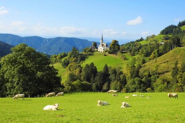 Foto van Wandel- en wellnessvakantie - Vakantiehuis in Eberstein - AreaSummer20KM