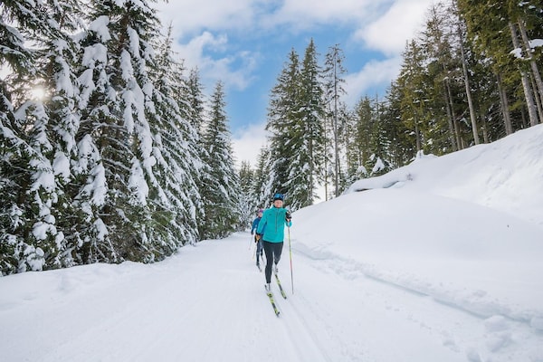 Foto van Chalet in Oostenrijk bij Gondel & Natuur - Vakantiehuis in Turracher Höhe - AreaWinter1KM