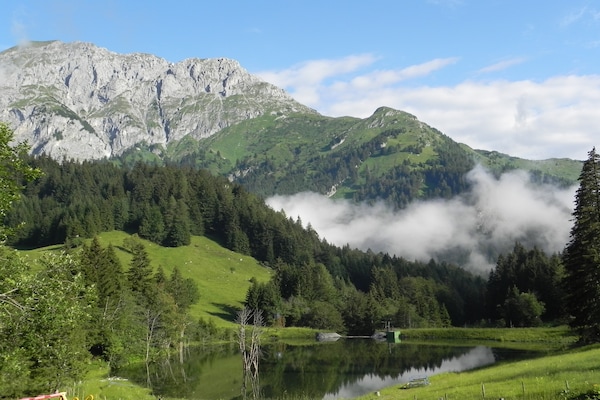 Foto van Appartement in Tröpolach bij Nassfeld - Vakantiehuis in Tröpolach - AreaSummer5KM