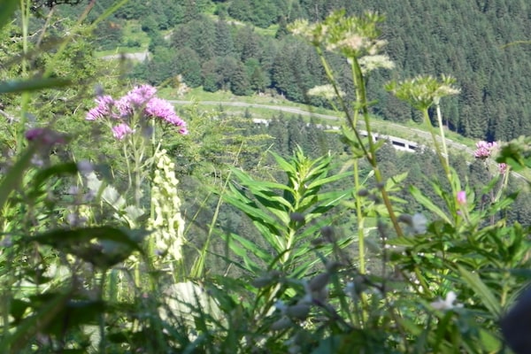 Foto van Appartement in Tröpolach bij Nassfeld - Vakantiehuis in Tröpolach - AreaSummer5KM
