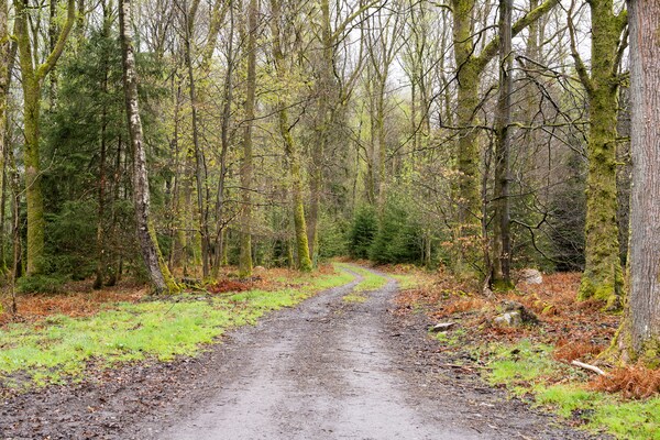 Foto van Vakantiehuis in Lierneux met privétuin - Vakantiehuis in Lierneux - AreaSummer1KM