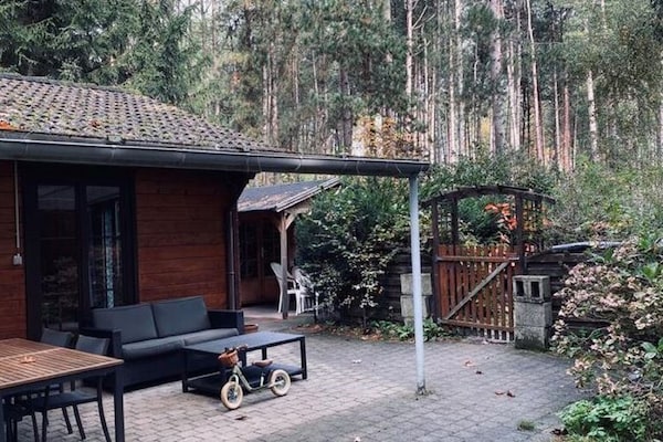 Foto van Vreedzame chalet-retraite - Vakantiehuis in Nijlen - ExteriorSummer