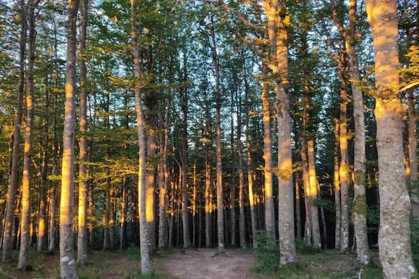 Foto van Retreat met uitzicht op het bos van Rendeux - Vakantiehuis in Rendeux-Beffe - AreaSummer20KM