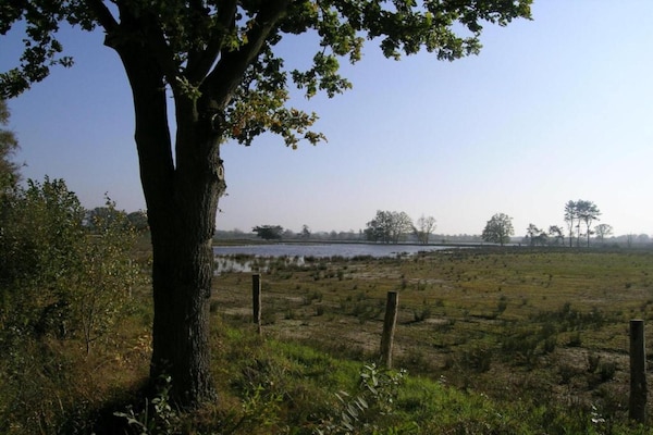 Foto van Familie Bosverblijf met Tuin - Vakantiehuis in Turnhout - AreaSummer20KM