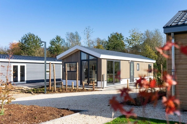 Foto van Lakeside Woodland Chalet voor 4 personen - Vakantiehuis in Mol - ExteriorSummer