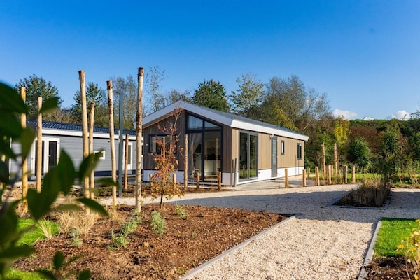 Foto van Lakeside Woodland Chalet voor 4 personen - Vakantiehuis in Mol - ExteriorSummer