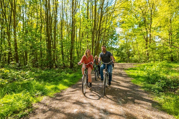 Foto van Lakeside Woodland Chalet voor 4 personen - Vakantiehuis in Mol - AreaSummer1KM