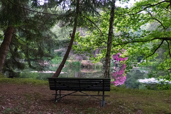 Foto van Fishing Chalet, Opglabbeek - Vakantiehuis in Opglabbeek - GardenSummer
