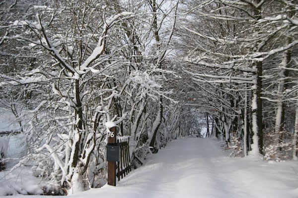 Foto van Vrijstaande vakantiewoning in de Ardennen met biozwembad - GardenWinter