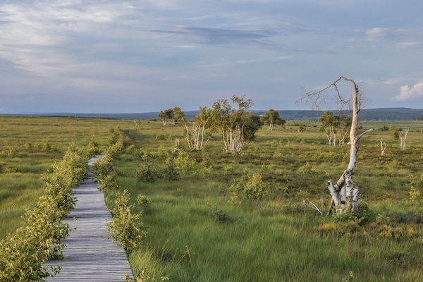 Foto van Ruim verblijf met terras - Vakantiehuis in Waimes - AreaSummer5KM